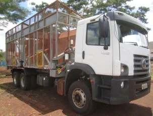 Caminhão Volkswagen Constellation 31-330 Transbordo Antoniosi 12000